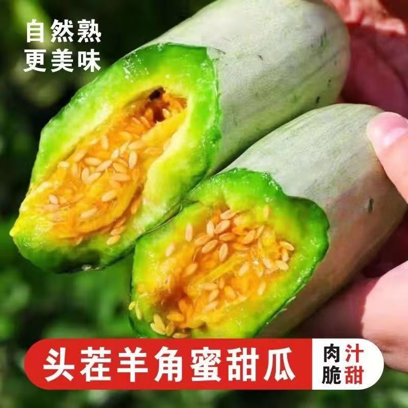 正宗羊角蜜甜瓜山东潍坊新鲜时令水果头茬当季脆香瓜时令多汁整箱