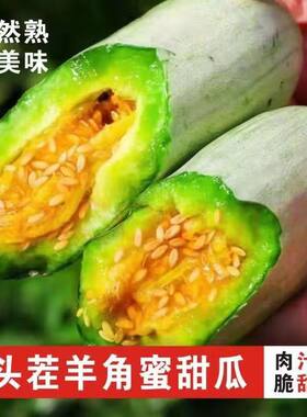 正宗羊角蜜甜瓜山东潍坊新鲜时令水果头茬当季脆香瓜时令多汁整箱
