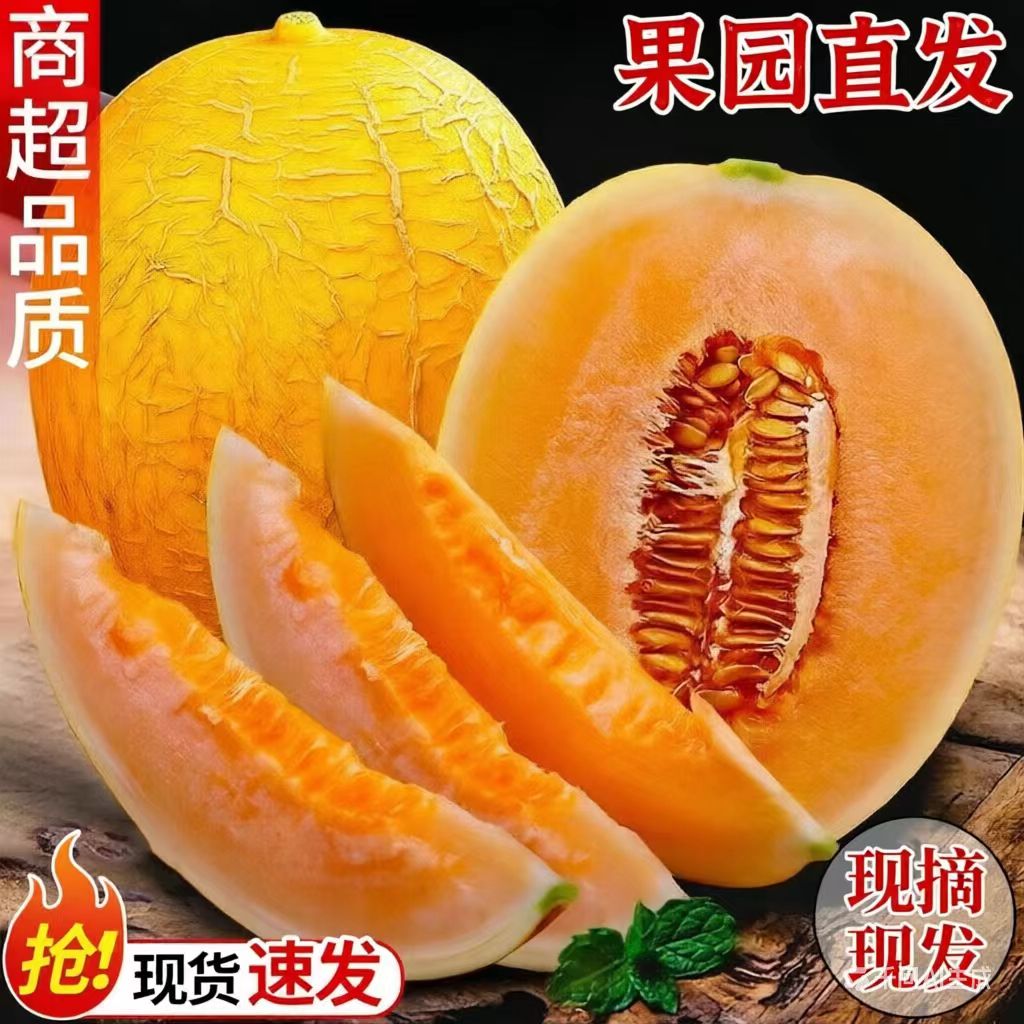 正宗黄金哈密瓜金色年华当季新鲜黄皮蜜瓜西州水果整箱甜瓜网纹