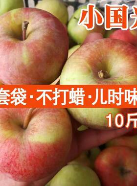 正宗东北国光苹果老树小国光老果光新鲜水果大连瓦房店酸甜苹果
