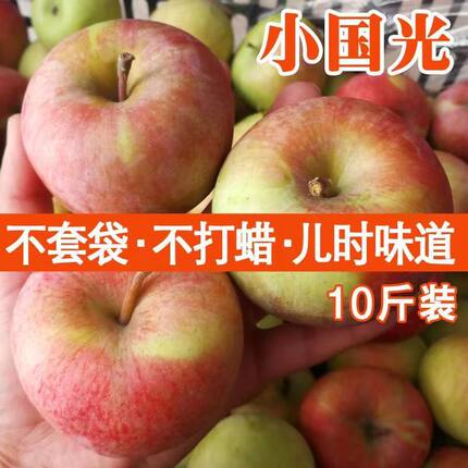 正宗东北国光苹果老树小国光老果光新鲜水果大连瓦房店酸甜苹果