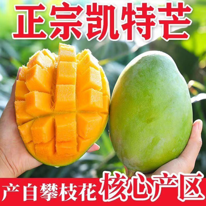 四川攀枝花凯特芒果新鲜水果当季包邮应季青皮凯特芒攀枝花芒果