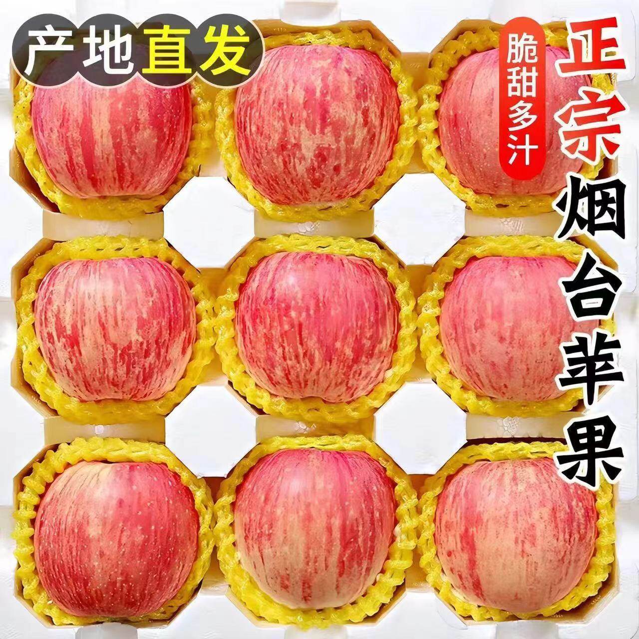 2026新果山东烟台苹果水果栖霞红富士正宗甜脆好吃新鲜不打蜡
