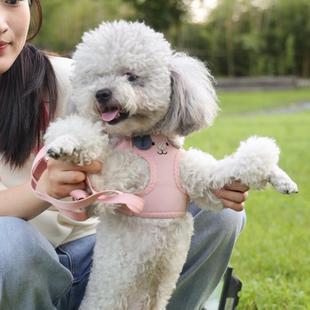 新款 狗狗胸背带透气猫狗胸背带宠物牵引绳 直销猫咪牵引绳 背心式