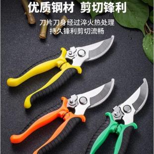 新款 直销不锈钢树枝剪修枝剪园艺剪刀果园花艺摘果剪园林树枝工具