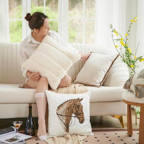 新款直销现代轻奢高级感沙发抱枕简约法式客厅样板房民宿床头靠垫