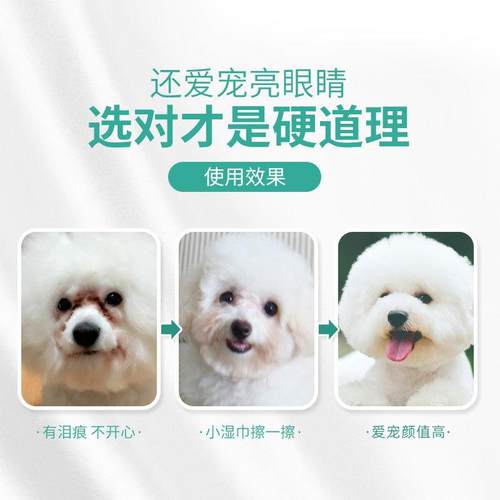 新款直销宠物清洁泪痕湿巾 10片无纺布材质眼部湿巾清洁眼垢犬猫