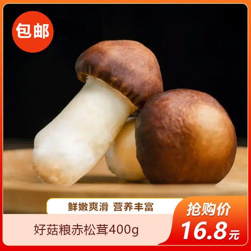 好菇粮赤松茸400g特产干货松茸菇类煲汤炖鸡食材