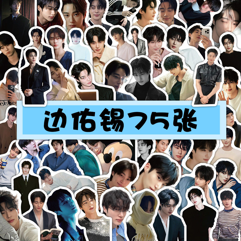 75张韩剧男主21世纪大君夫人男主边佑锡高颜值韩系男爱豆涂鸦贴纸