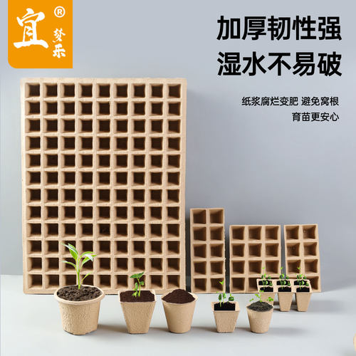 纸浆育苗杯一次性可降解育苗盘培育盆纸质营养钵育种盘种植杯批发