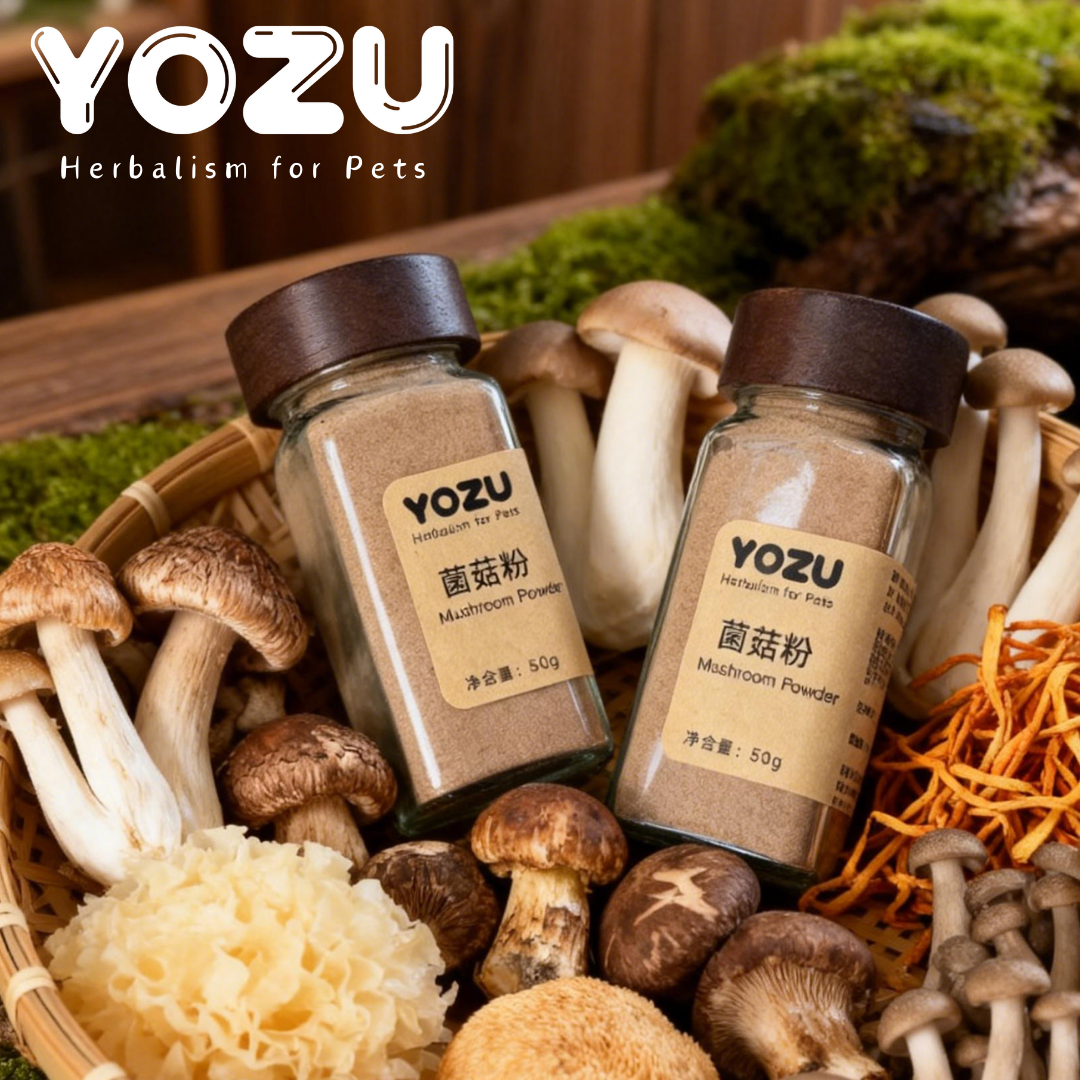 YOZU商店 菌菇粉宠物营养品50g天然有机狗狗猫咪零食补充维生素,宠物/宠物食品及用品,宠物用品定制周边,淘宝优惠券,粉丝福利购,淘宝优惠卷