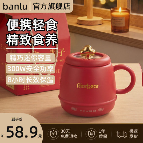 【热销N0.1】炖煮一体小型养生杯
