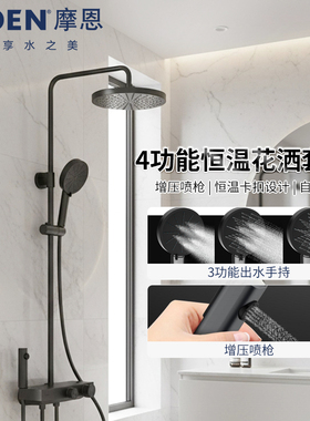 摩恩自动除垢枪灰色淋浴花洒套装卫生间花洒家用花洒20244/24244
