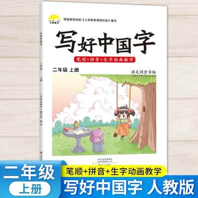 抖音同款小学生写好中国