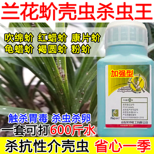 兰花蚧壳虫杀虫剂兰花介壳虫专用药吡虫噻嗪酮农药蚧壳虫杀虫剂