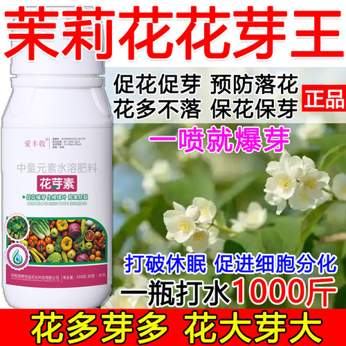 茉莉花催花催芽专用药茉莉花促花促芽叶面肥催花促长猛长不落花
