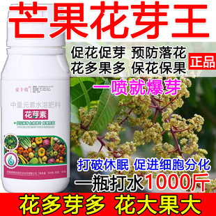 芒果促花催芽芒果花芽促长素催花保果叶面肥保花保果催花强制座果