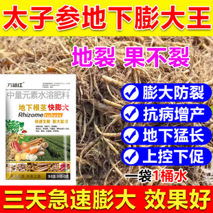 太子参膨大素地下猛长太子参膨大素控旺膨大根茎抗病抗逆生根壮苗