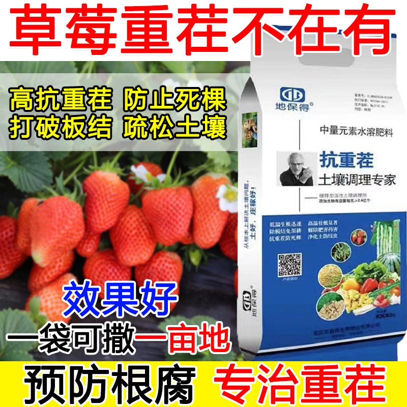 草莓抗重茬剂草莓重茬专用药防重茬肥料死根死棵抗病逆弱苗小苗