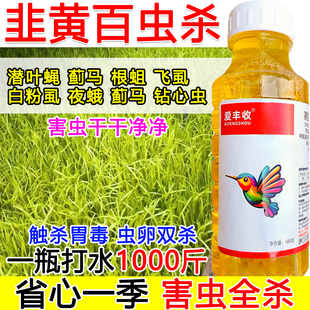 韭黄杀虫剂杀虫药韭黄专用杀虫剂百虫杀虫卵双杀蔬菜果树通用根蛆