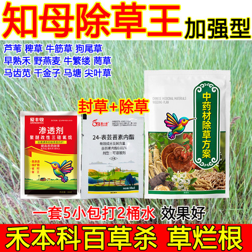 知母除草剂知母田除草剂杂草烂根不伤药材狗尾草牛筋草烂根除草剂