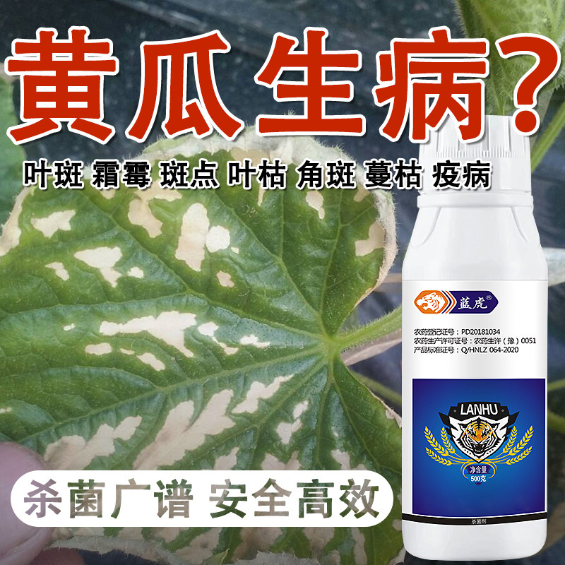 黄瓜专用杀菌剂黄瓜杀菌剂 黄瓜炭疽病白粉病叶斑病枯萎病锈病