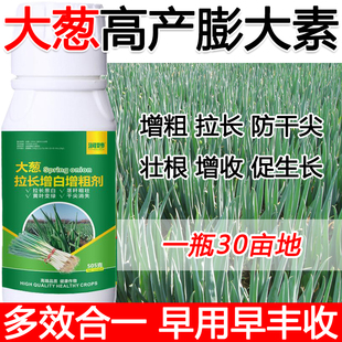 大葱专用叶面肥大葱膨大剂大葱叶面肥拉直增粗鲜嫩营养全面防病虫