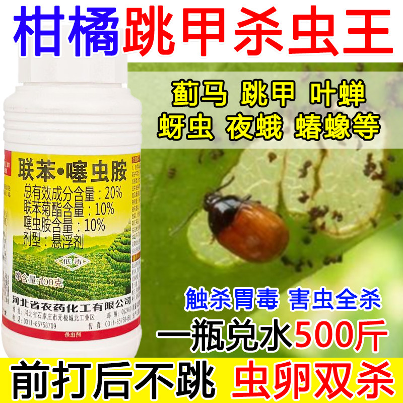 柑橘跳甲药柑橘跳甲杀虫剂蓟马蔬菜果树蚜虫跳甲专用杀虫剂正品,农用物资,杀虫剂,淘宝优惠券,粉丝福利购,淘宝优惠卷
