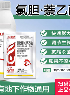 氯化胆碱萘乙酸大蒜地下根茎增产膨大剂姜甘薯农用植物生长调节剂