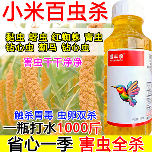 小米杀虫剂杀虫药小米专用杀虫剂百虫杀虫卵双杀蔬菜果树通用黏虫