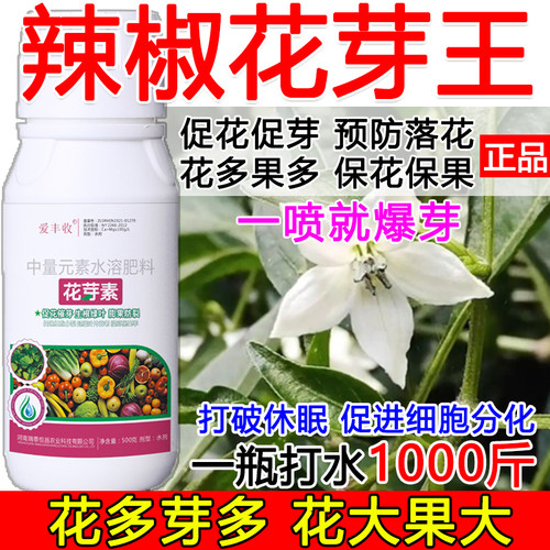 辣椒促花催芽辣椒花芽促长素催花保果叶面肥保花保果催花强制座果