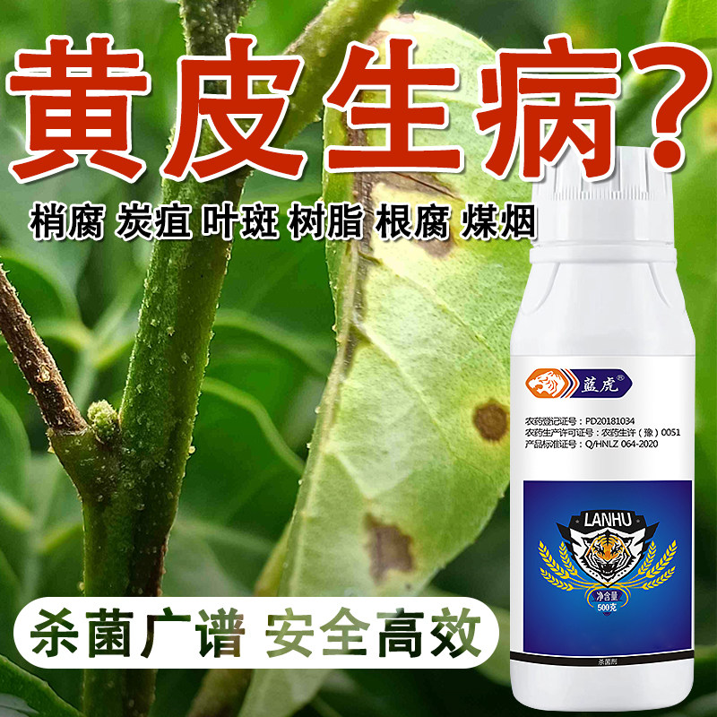 黄皮专用杀菌剂黄皮杀菌剂 黄皮炭疽病煤烟病叶斑病枯萎病根腐病
