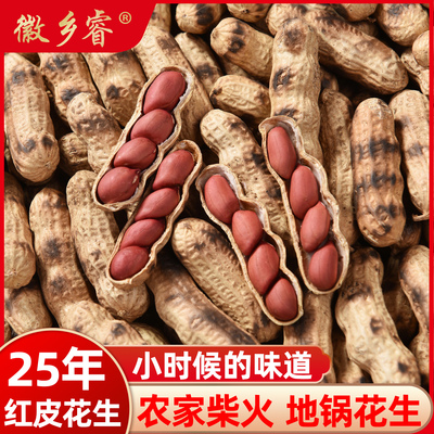 2025年新货红皮花生柴火熟花生