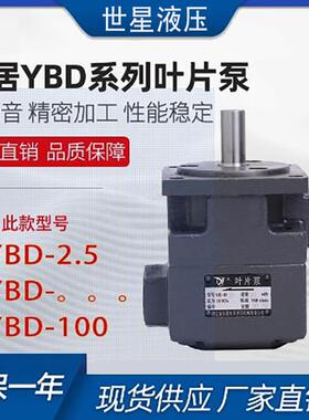 YBD-100叶片泵YBD-2.5/4/6/10/16/20/25/32/63/80/125正