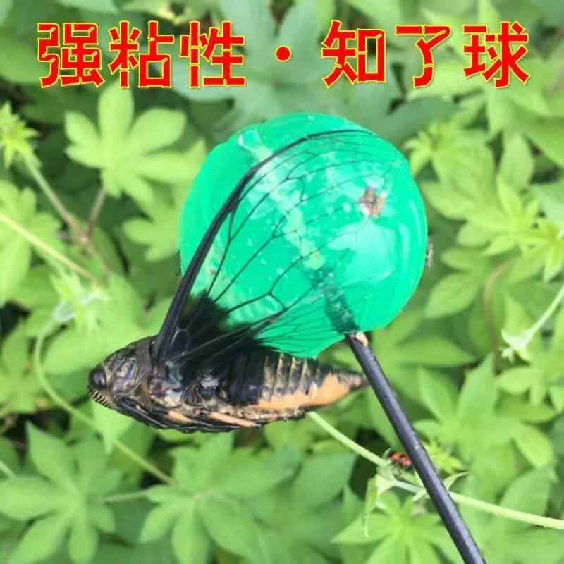 粘知了胶圆球捕蝉工具绿圆球粘灰尘粘粘球抓知了猴手粘性玩具神器