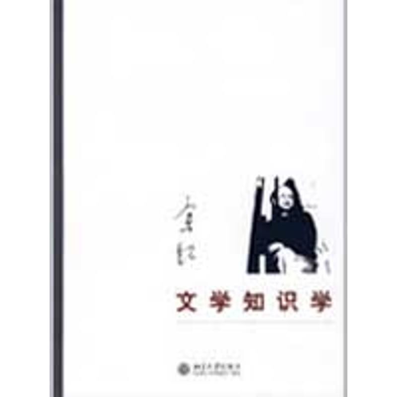 正版包邮文学知识学—余虹文存余虹　著北京大学出版社9787301124468