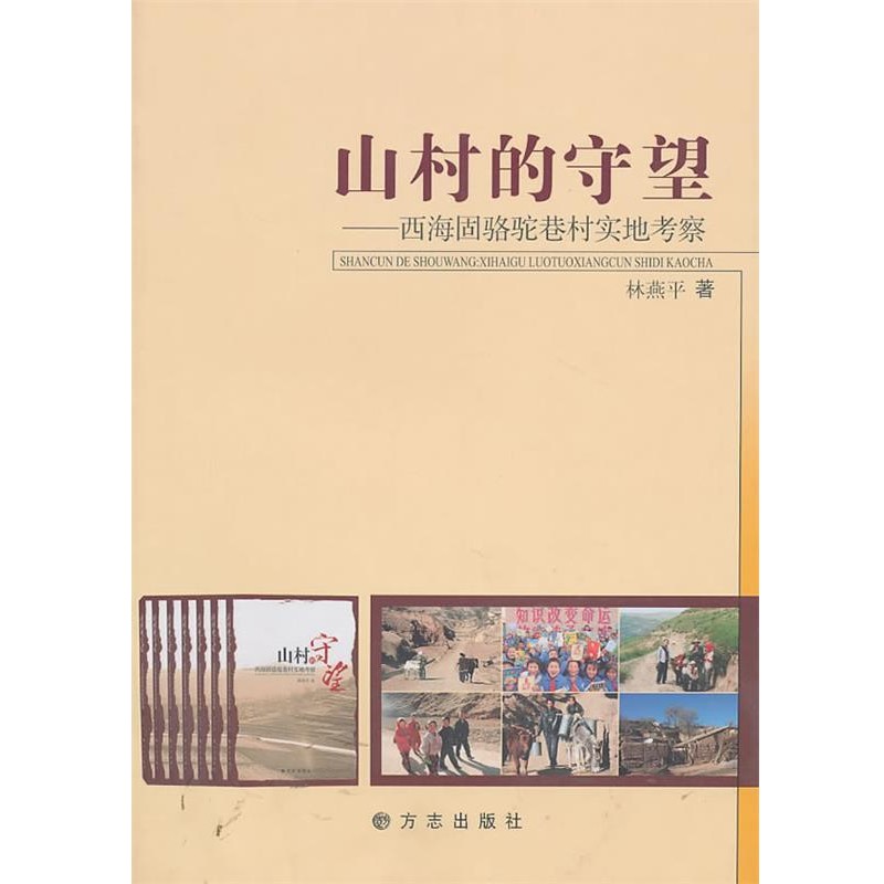 正版包邮山村的守望:西海固骆驼巷村实地考察林燕平　著方志出版社9787802384316
