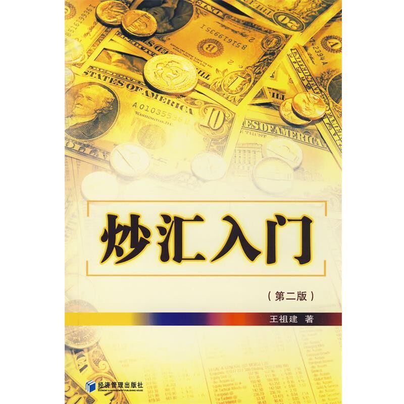 正版包邮炒汇入门王祖建　著经济管理出版社9787509602584