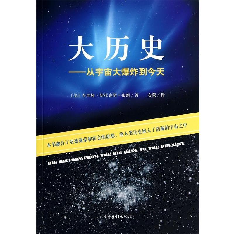 正版包邮大历史辛西娅·斯托克斯·布朗山东画报出版社9787547406595