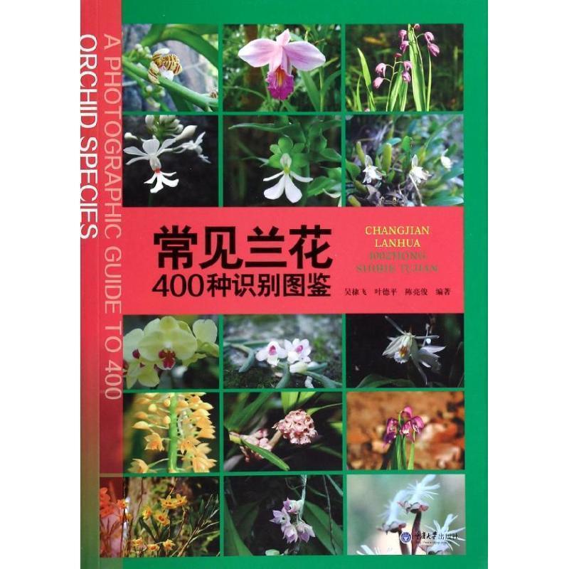正版包邮常见兰花400种识别图鉴吴棣飞　等编著重庆大学出版社978