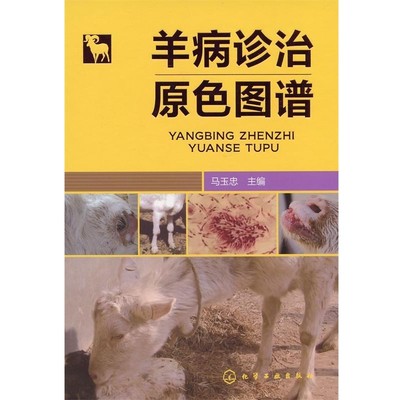 正版包邮羊病诊治原色图谱马玉忠主编化学工业出版社9787122175236
