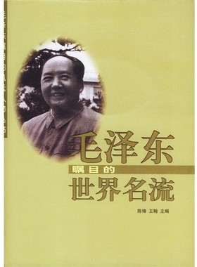 正版包邮毛泽东瞩目的世界名流叶绪民长江文艺出版社9787535421845