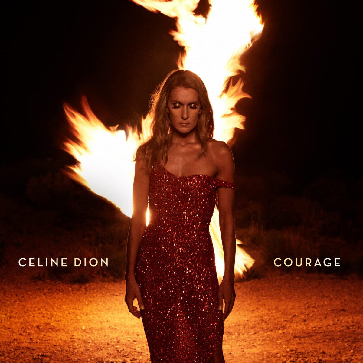 原装进口 席琳迪翁专辑 Celine Dion 勇气 豪华版 墨西哥版CD唱片