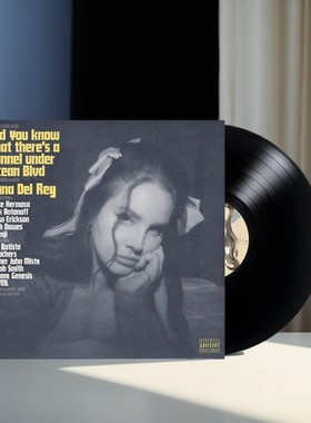 官方正版 打雷姐专辑Lana Del Rey拉娜德蕾 海底隧道2LP黑胶唱片