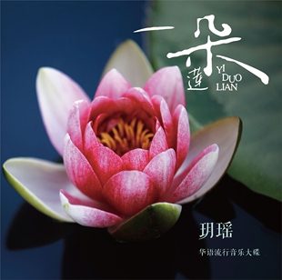 玥瑶专辑 凭窗夜听雨 一朵莲 筝舞霓裳 CD唱片 为爱守望 官方正版