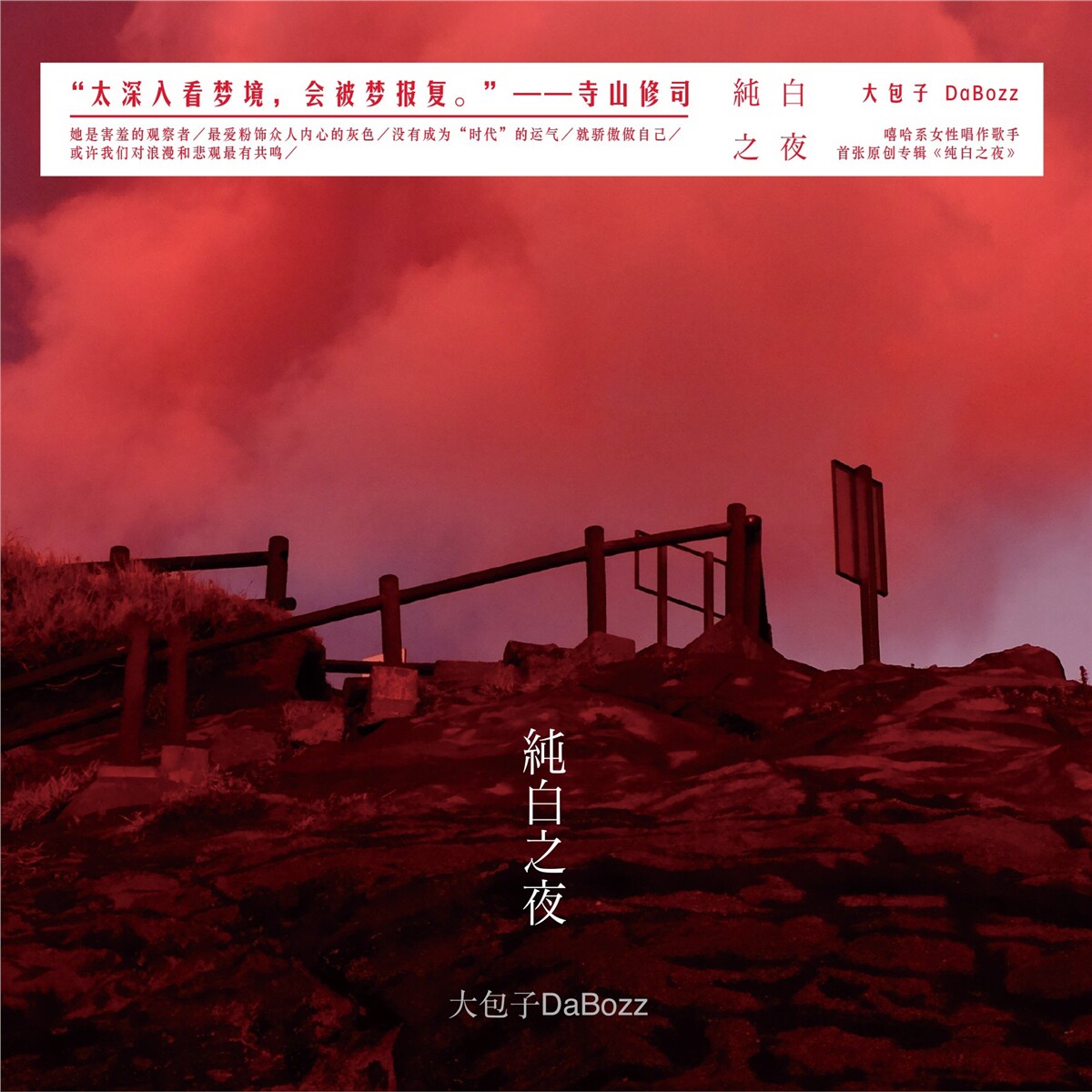 官方正版 大包子DaBozz专辑 纯白之夜 河流的秘密 她 嘻哈CD唱片