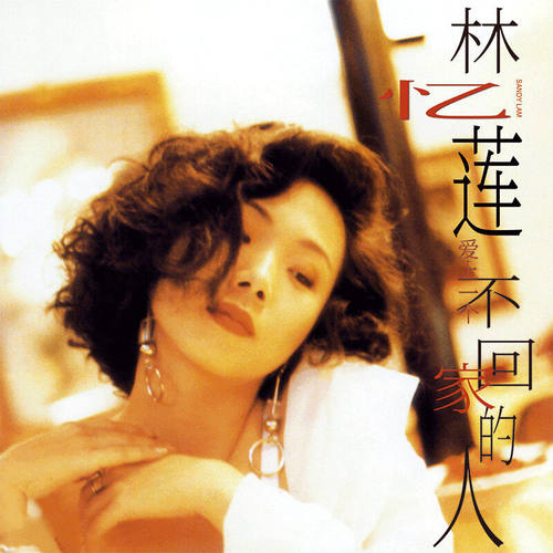 官方正版 林忆莲专辑 爱上一个不回家的人  你是我的男人 CD唱片