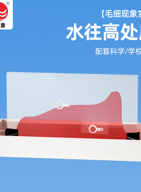 水往高处爬毛细现象科学实验DIY制作STEM益智好玩教具送视频教程