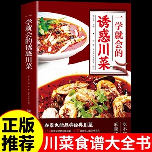 一学就会的诱惑川菜菜谱家常菜大全做法食谱经典菜舌尖上的中国美食书掌勺人秘籍做菜书籍烹饪详细厨师做法厨艺