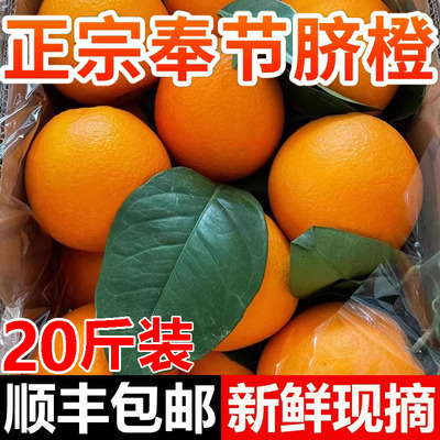 正宗重庆奉节脐橙20斤橙子新鲜大果应季水果纽荷尔产地直发旗舰店